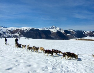 balade d�couverte de la montagne en chiens de traineaux