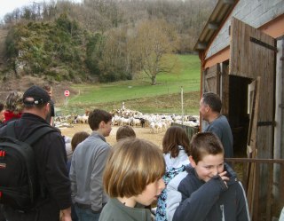rencontre avec un berger de la vall�e d'Aure entre Arreau et Saint Lary